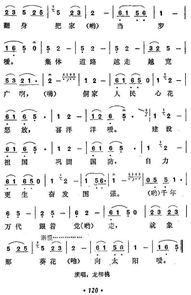 葵花向阳(1).jpg