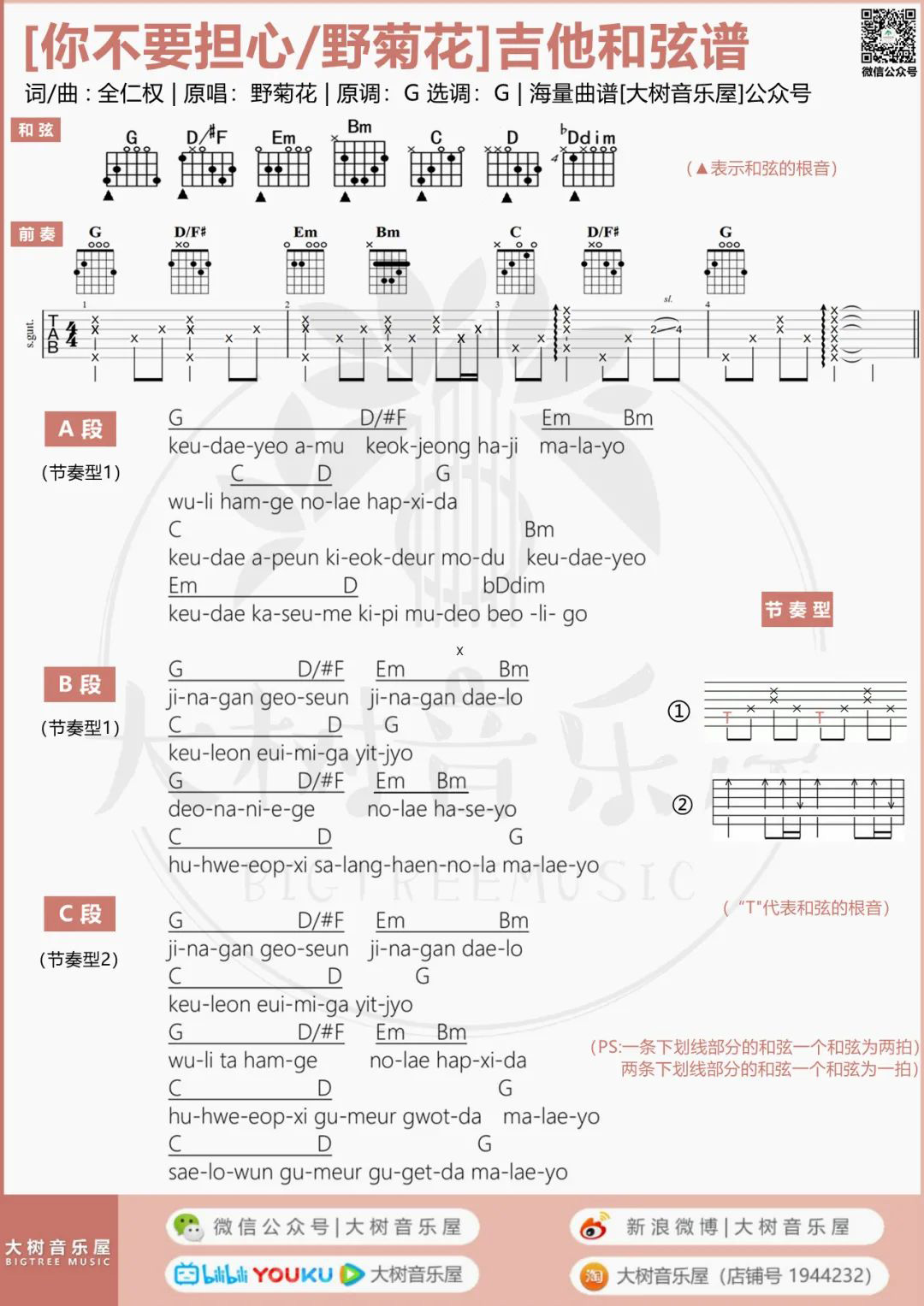 你不要担心吉他谱_野菊花_G调单音版 弹唱教学视频-图片1