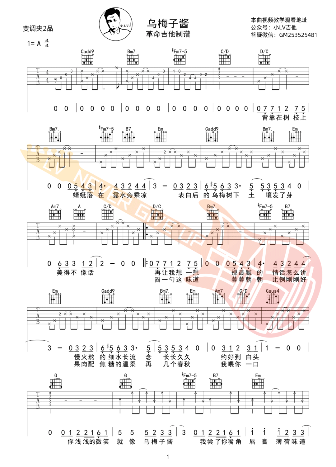 乌梅子酱吉他谱_李荣浩_G调调弦版 弹唱教学视频-图片1