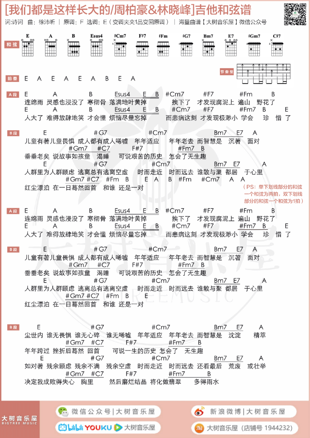 我们都是这样长大的吉他谱_周柏豪-林晓峰_E调调弦版 弹唱教学视频-图片1
