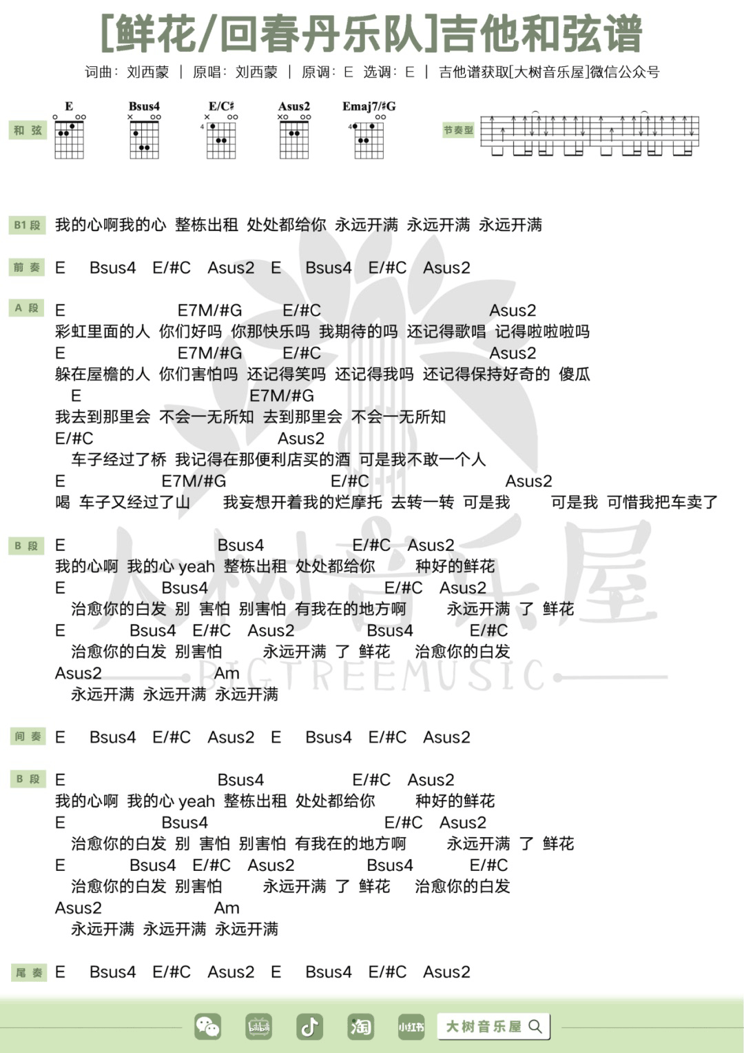 鲜花吉他谱_回春丹乐队_E调双音版 弹唱教学视频-图片1