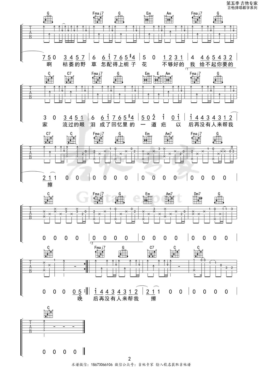 野草与栀子花吉他谱2-林三七